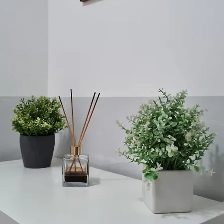 Hébergement de vacances Terrazza Del Santo 2,0 - La Terrazza Nel Cuore Di *